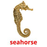seahorse picture flashcards