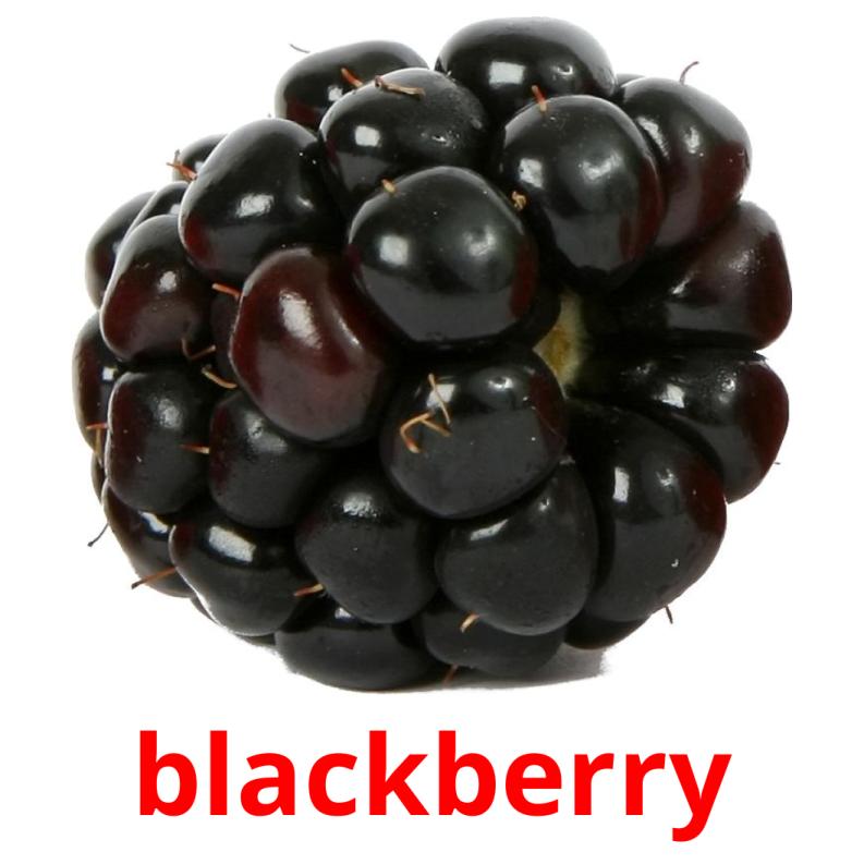 blackberry cartões com imagens