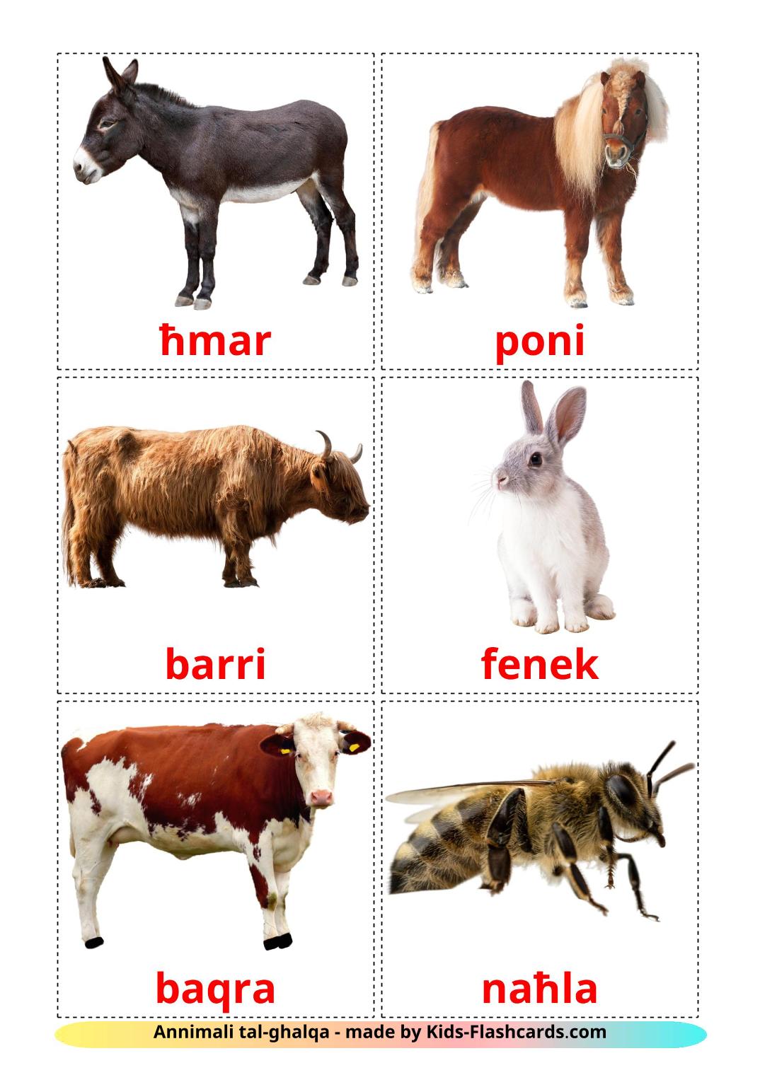 Animali da fattoria - 15 flashcards maltese stampabili gratuitamente