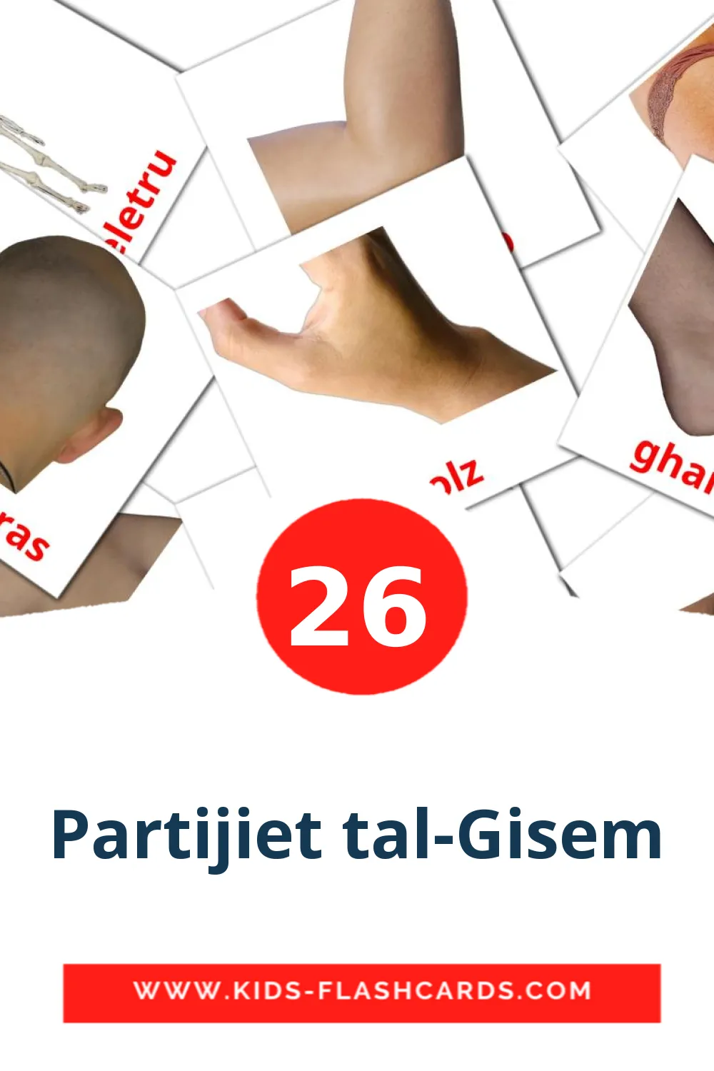 26 cartes illustrées de Partijiet tal-Gisem pour la maternelle en maltais