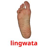 lingwata card for translate