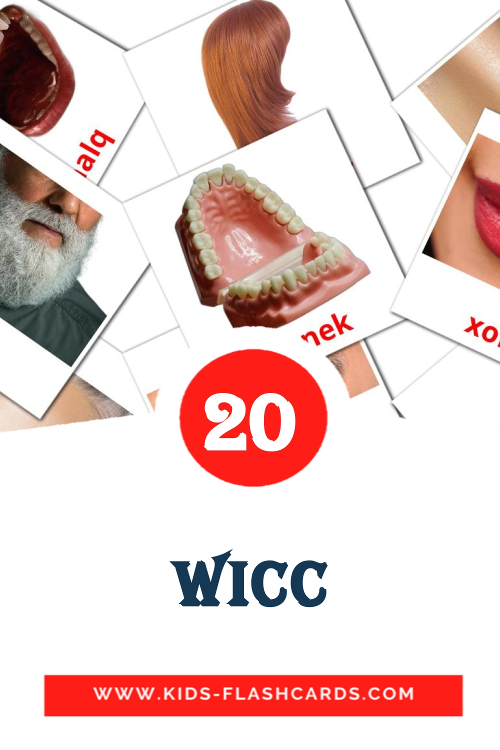 20 Wicc Picture Cards for Kindergarden in maltese