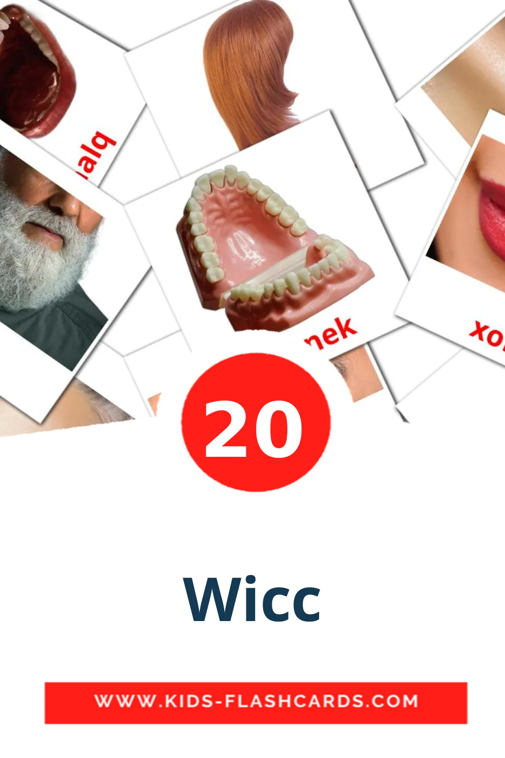 20 Wicc Picture Cards for Kindergarden in maltese