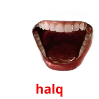 halq picture flashcards