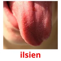 ilsien picture flashcards