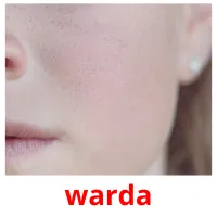 warda picture flashcards