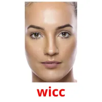 wicc picture flashcards