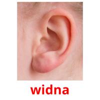 widna picture flashcards