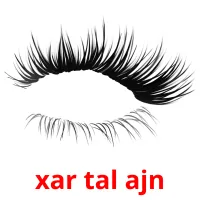 xar tal ajn picture flashcards