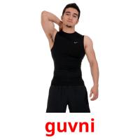 guvni picture flashcards