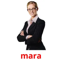 mara picture flashcards