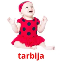 tarbija picture flashcards