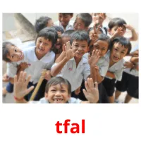 tfal picture flashcards