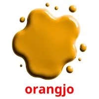 orangjo picture flashcards