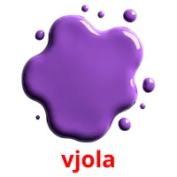 vjola picture flashcards