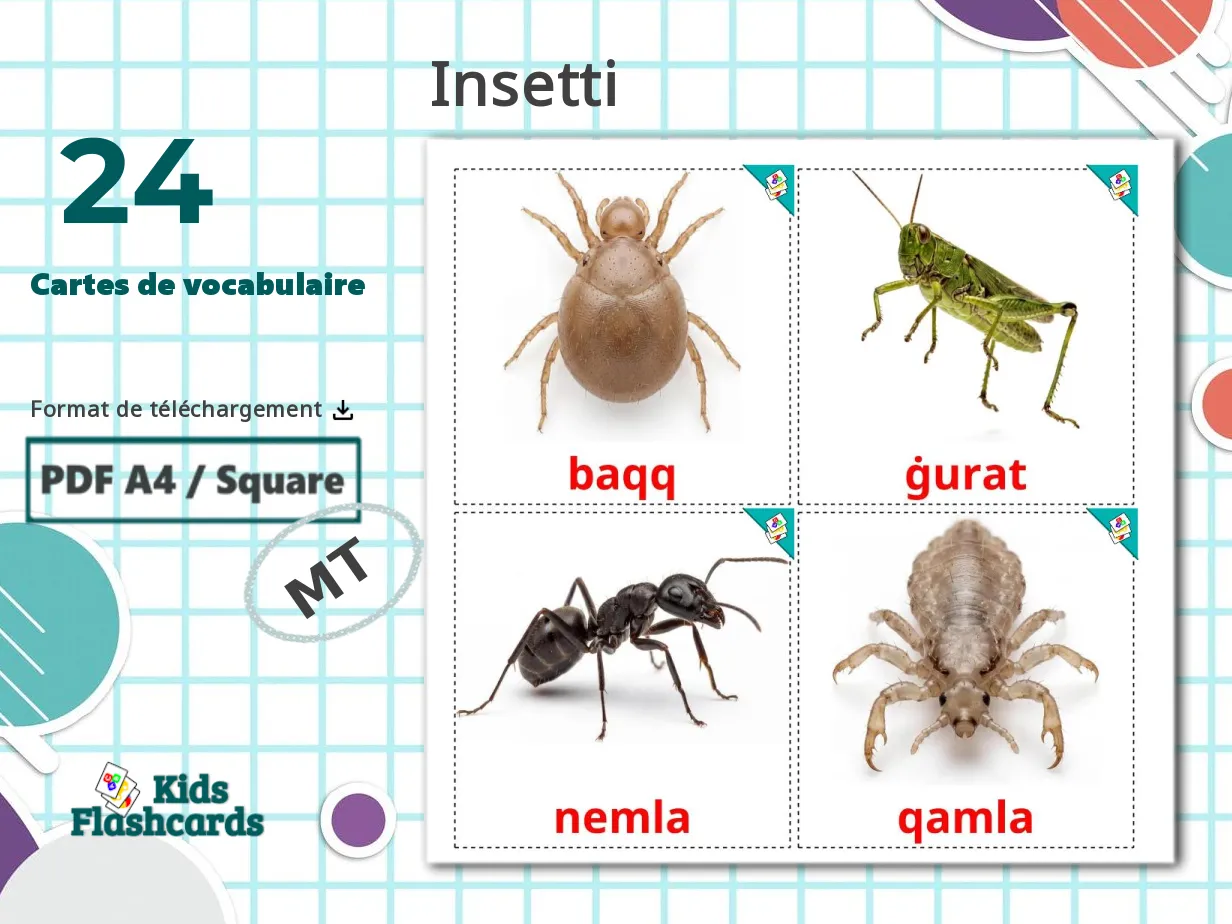 24 Cartes de Vocabulaire pour Enfants GRATUITES Les Insectes à Imprimer ...