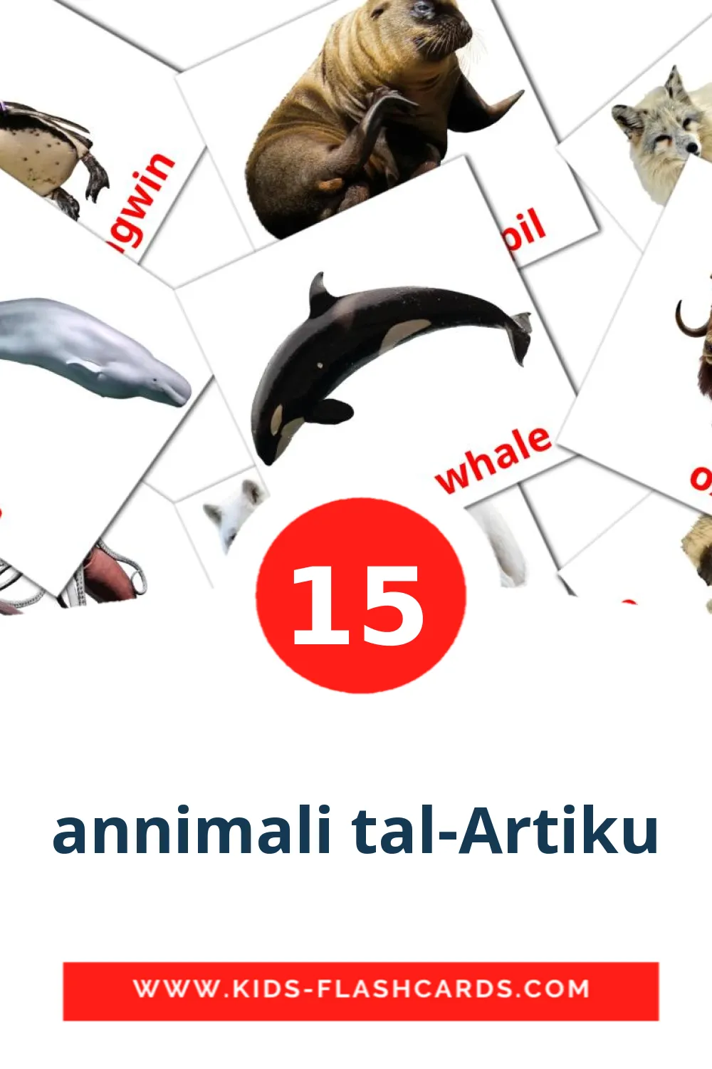 15 bildkort med annimali tal-Artiku för barnträdgården på maltesiska