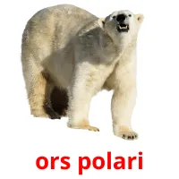ors polari bildkort för barn