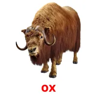 ox bildkort för barn