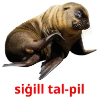 siġill tal-pil bildkort för barn
