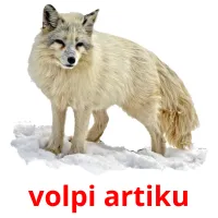 volpi artiku bildkort för barn