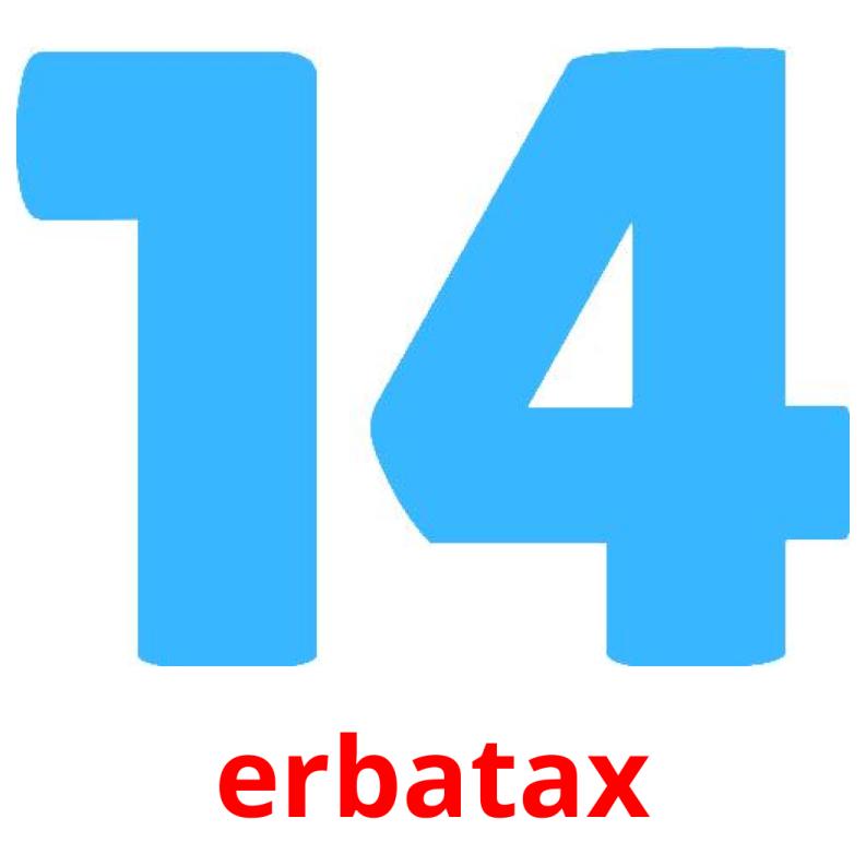 erbatax picture flashcards