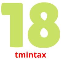tmintax picture flashcards