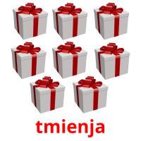 tmienja picture flashcards