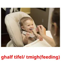 ghalf tifel/ tmigh(feeding) cartões com imagens