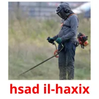 hsad il-haxix cartões com imagens