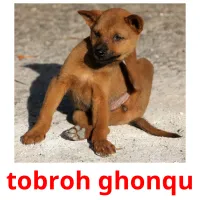 tobroh ghonqu cartões com imagens