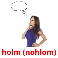 holm (nohlom) cartes flash