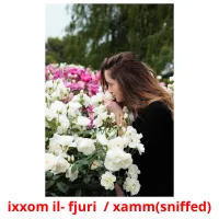 ixxom il- fjuri  / xamm(sniffed) cartes flash