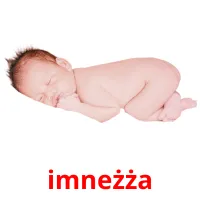 imneżża ansichtkaarten