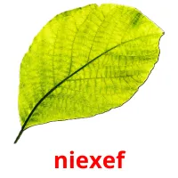 niexef ansichtkaarten