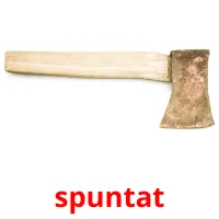 spuntat ansichtkaarten