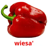 wiesa' ansichtkaarten