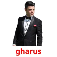 gharus Bildkarten für Kinder