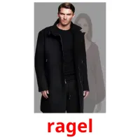 ragel bildekort