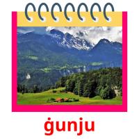 ġunju picture flashcards
