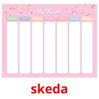 skeda card for translate