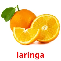 laringa Tarjetas didacticas