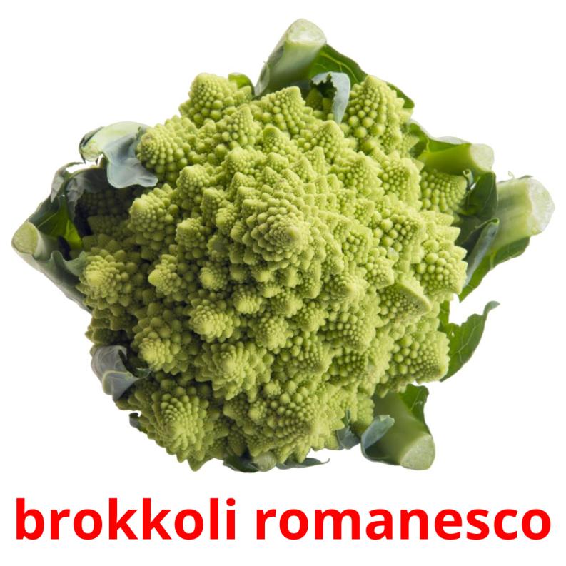 brokkoli romanesco picture flashcards