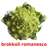 brokkoli romanesco flashcards illustrate