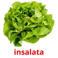 insalata card for translate