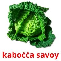 kaboċċa savoy flashcards illustrate