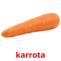 karrota flashcards illustrate