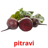 pitravi flashcards illustrate