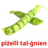 piżelli tal-ġnien card for translate