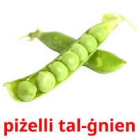 piżelli tal-ġnien Tarjetas didacticas